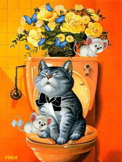 chaton sur son 31 dans les toiellettes.gif